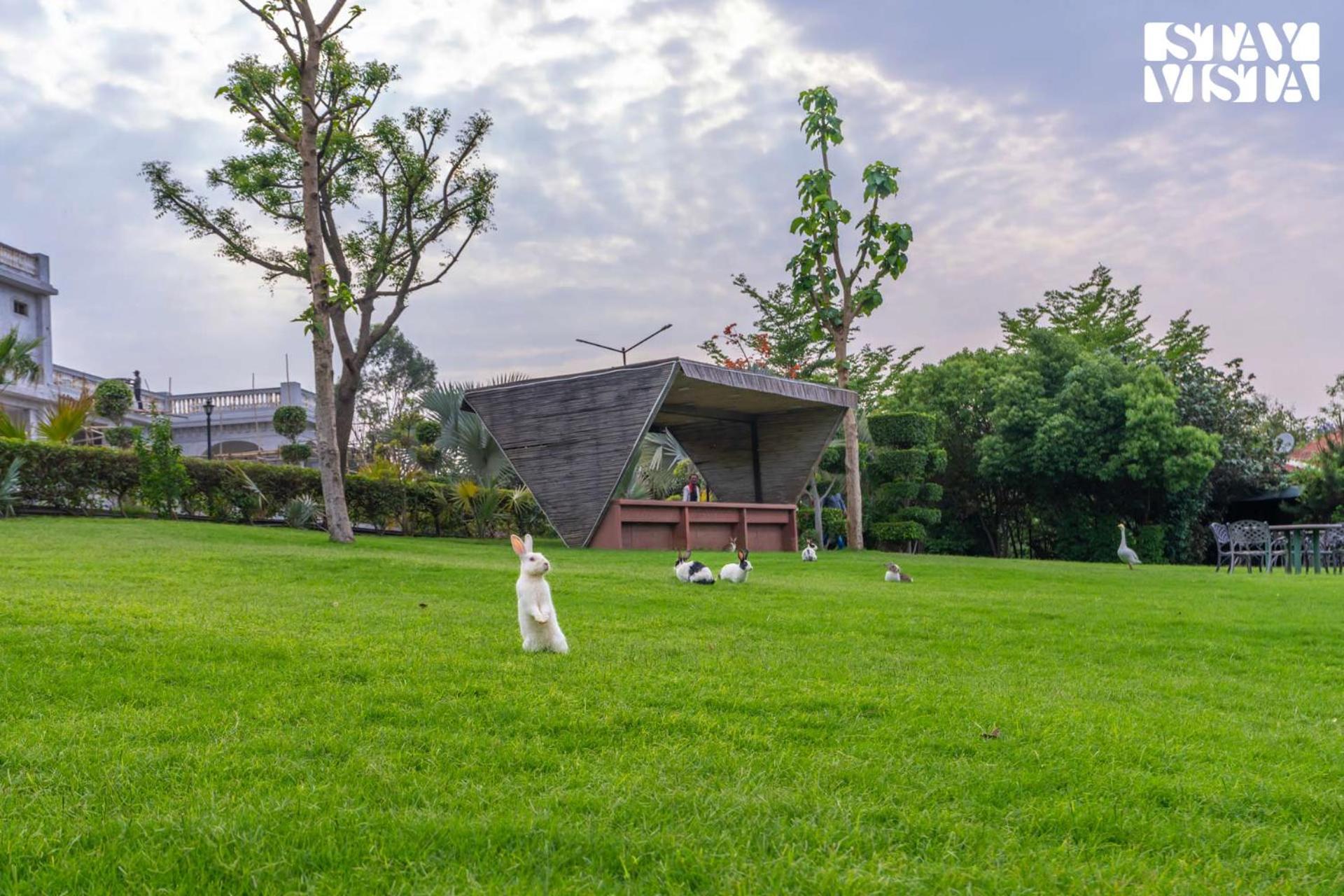 Stayvista At Maple Farms With Pool, Bbq & Bonfire Sohna Εξωτερικό φωτογραφία